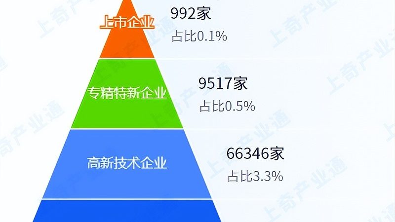 上海软硬件采购：优缺点分析及决策指南