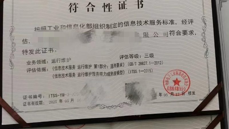 IT咨询与系统集成：收费差异解析